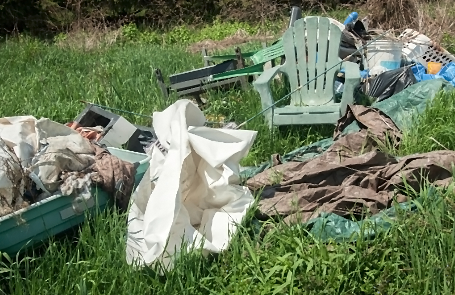 Garden clearance - Junk removal London