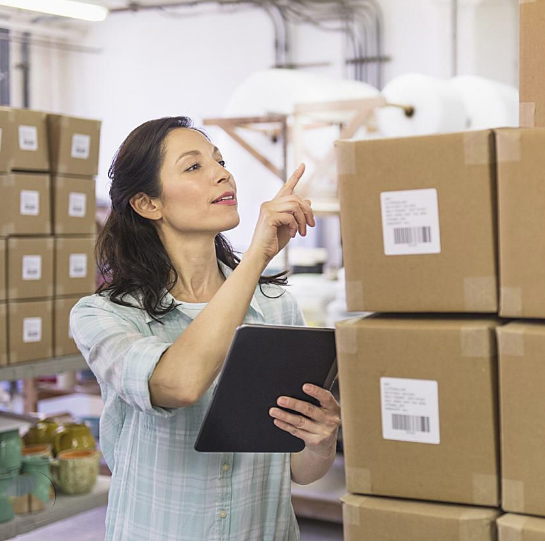 warehouse removals - London handywoman counting boxes